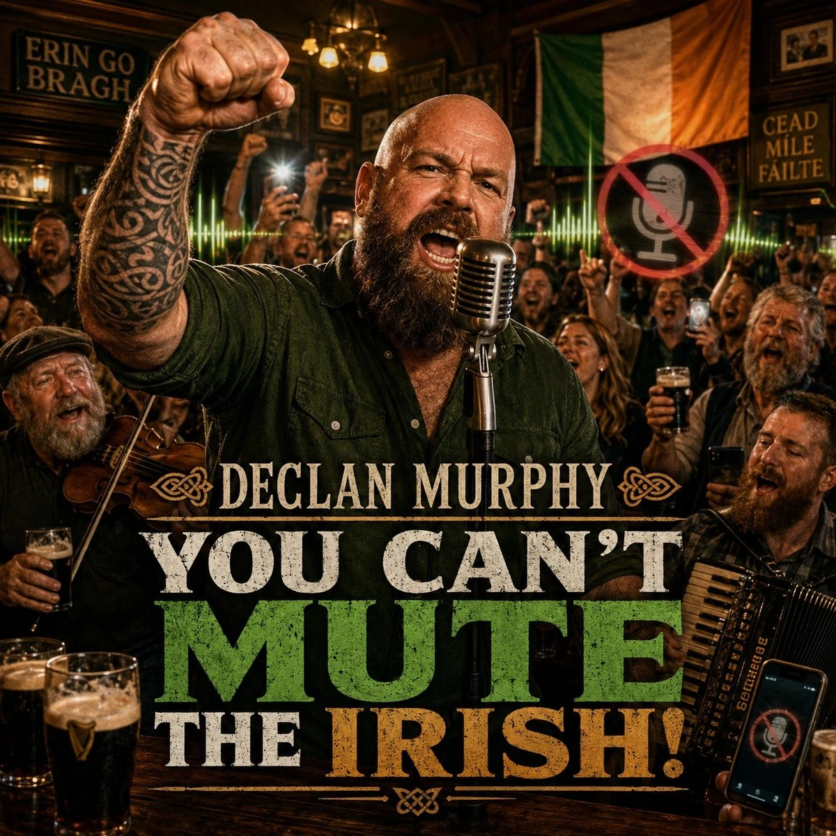 You Can't Mute the Irish! cover artwork